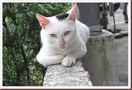 IMG_6183 IMG_6183