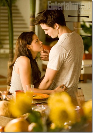 THE TWILIGHT SAGA: BREAKING DAWN-PART 1