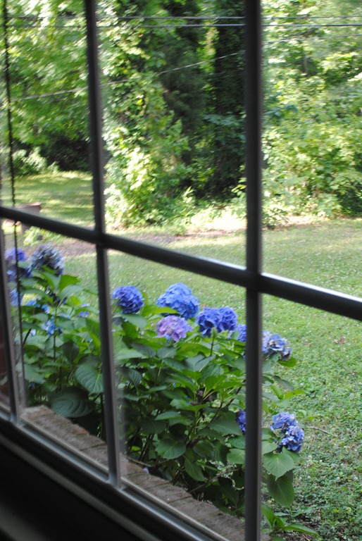 [DSC_7469%255B3%255D.jpg]