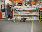 Martha was extremely surprised and pleased to see a new display just as we entered the store.  All those bottles looked familiar.  It was the new line of MARTHA STEWART CLEAN!!