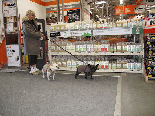 Martha was extremely surprised and pleased to see a new display just as we entered the store.  All those bottles looked familiar.  It was the new line of MARTHA STEWART CLEAN!!