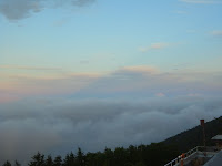 R0010762.JPG Photo
