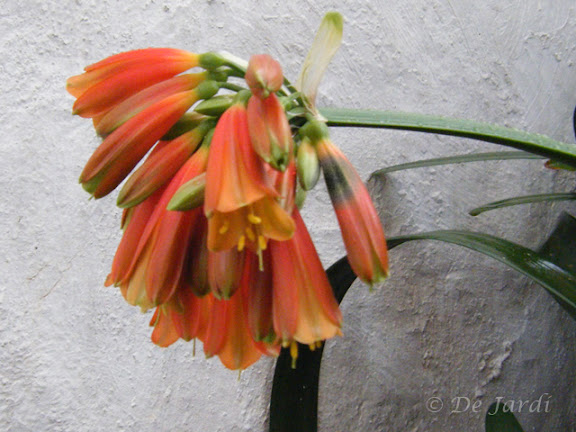 2008_06080007r.jpg