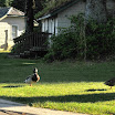 DSC_3364.JPG