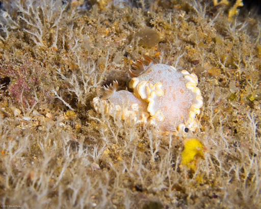 P4153079