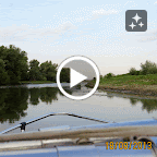 IMG_8205-MOTION.gif