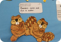 IMG_7103 IMG_7103