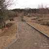 dsc05316.jpg