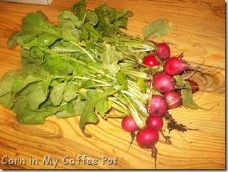 wall paper- pond at grad- nest boxes- radishes 023