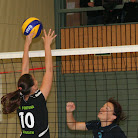 IMG_3738.JPG
