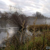 dsc07303.jpg