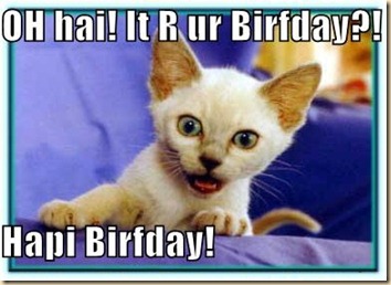 BirfdayCat BirfdayCat