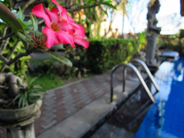 [IMG_07135.jpg]