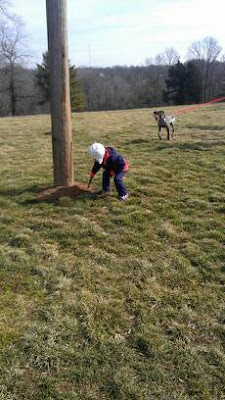 digging
