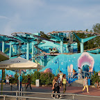 DSC_6817.JPG