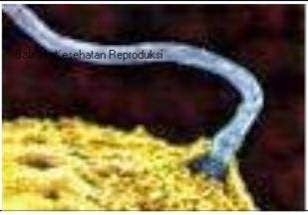 [clip_image0023.jpg]