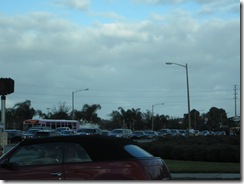 IMG_1510 IMG_1510