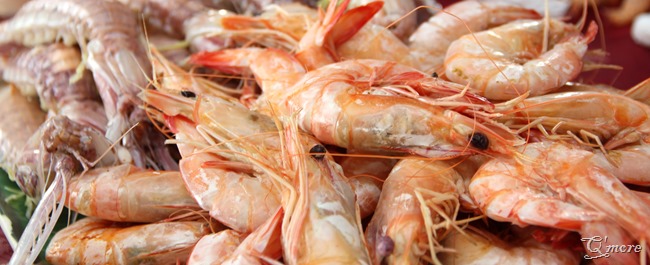 IMG_2700 IMG_2700