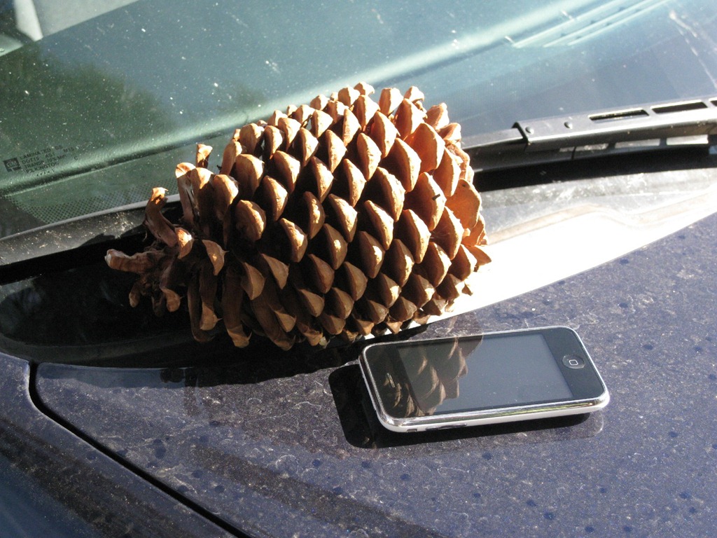[IMG_7020%255B9%255D.jpg]