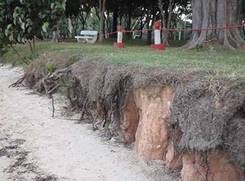 Coastal erosion at Singapore's East Coast Park, May 2008. wildshores.blogspot.com