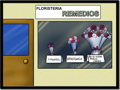 Flores-1 Flores-1
