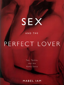 Cover of Mabel Iam's Book Sex And The Perfect Lover