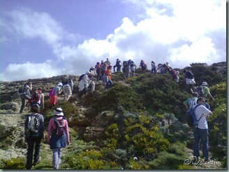 foto0114 foto0114