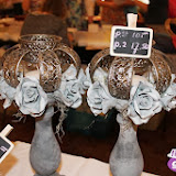 IMG_3327.jpg