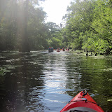 Two OClock Bayou Paddle July 14, 2012 - IMG_0035.JPG