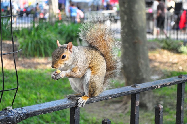 DSC_0825 DSC_0825