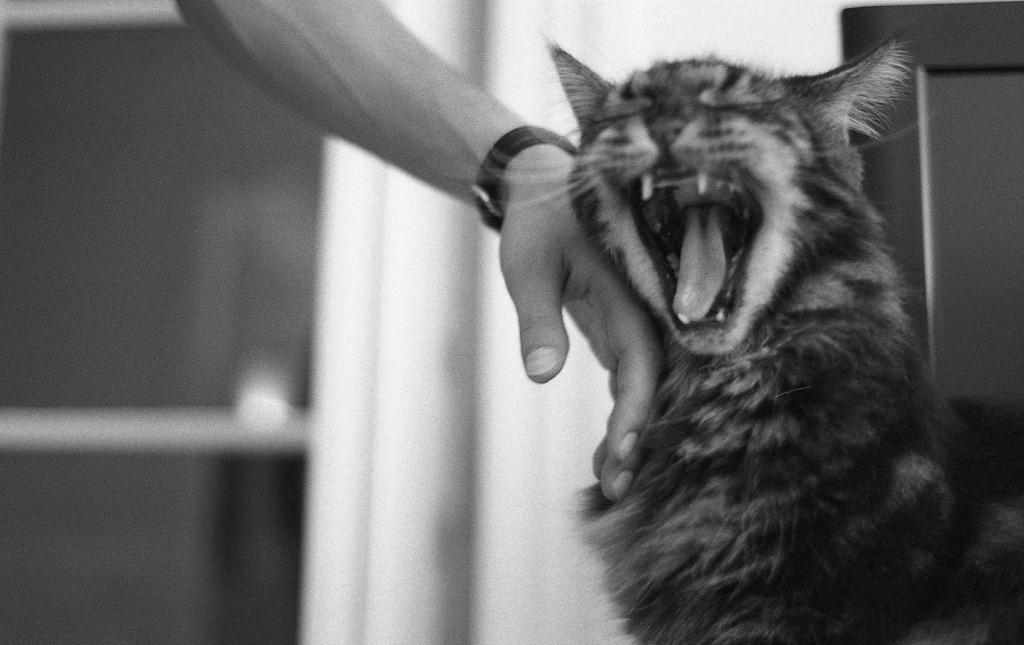 [img297%255B2%255D.jpg]