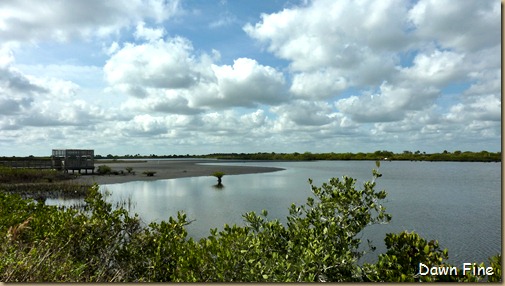 Merritt Island-black point drive_058