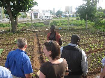 'Visiting an Urban Farm with Alliance for a Green Revolution in Africa (AGRA), in Accra.' Photo by Sandra Vu