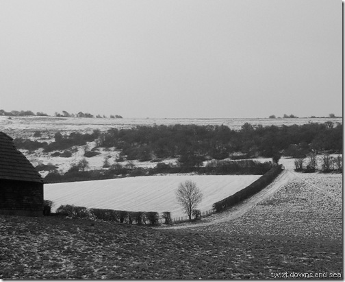 2012 feb snowy downs 3