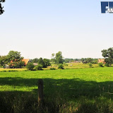 natuur 031.jpg