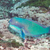 P7085172