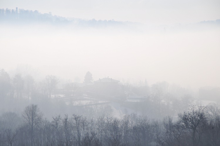 DSC_0496 DSC_0496