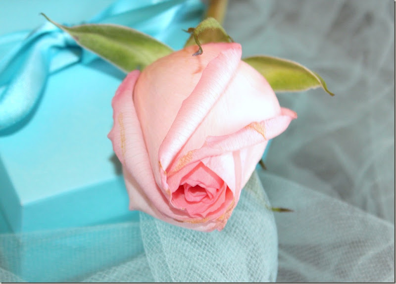 February 5, 2012 Tiffany Tablescape 057