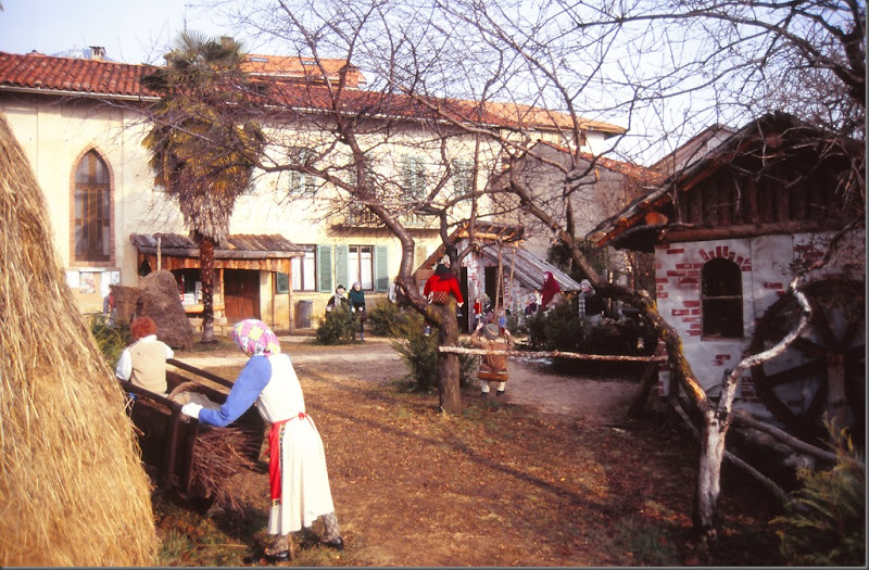 archivio FPivani IMG_0002