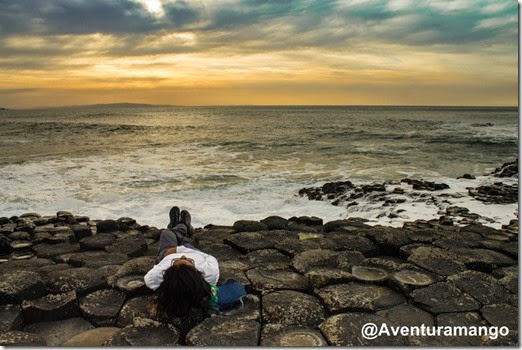 Giant Causeway - Irlanda do Norte (15)