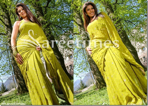 Nayanthara_Green_Ebroidery_Saree