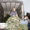 Tannenbaumaktion 08_740.jpg