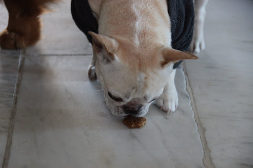 Good thing I've taken the initiative to eat - I mean clean this up before Martha gets home.