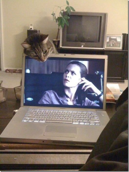 viral-picdump-pics-95be58