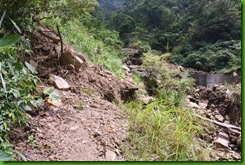 IMG_0011 IMG_0011