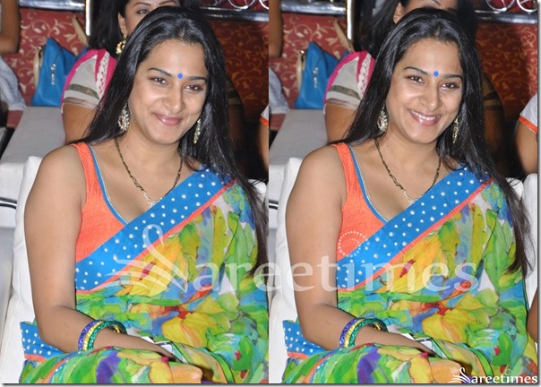 Surekha_Vani_Paint_Work_Saree