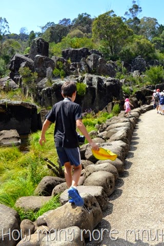 [DSC_24201.jpg]