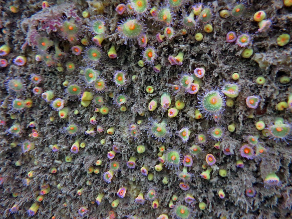 [468146_4121970688416_1257797718_33773283_1809257650_o%255B3%255D.jpg]