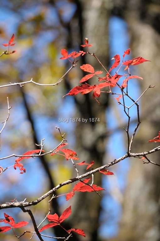 [SYG_4633%255B22%255D.jpg]