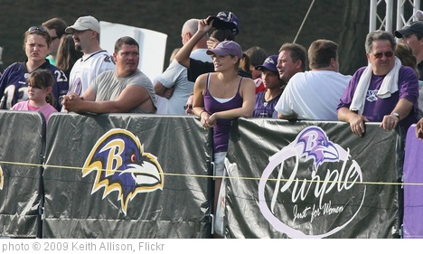 'Baltimore Ravens Fans' photo (c) 2009, Keith Allison - license: http://creativecommons.org/licenses/by-sa/2.0/